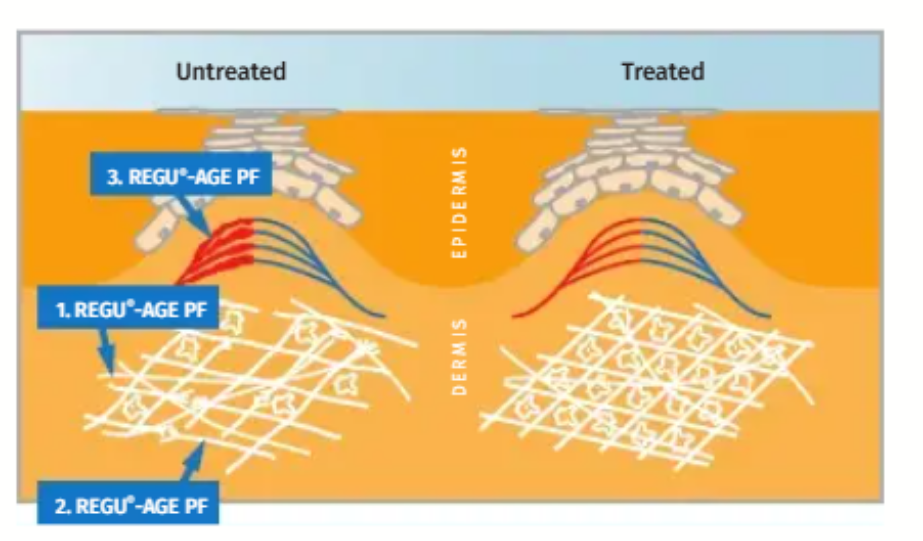 Intracellular Eye Cream ingredient study
